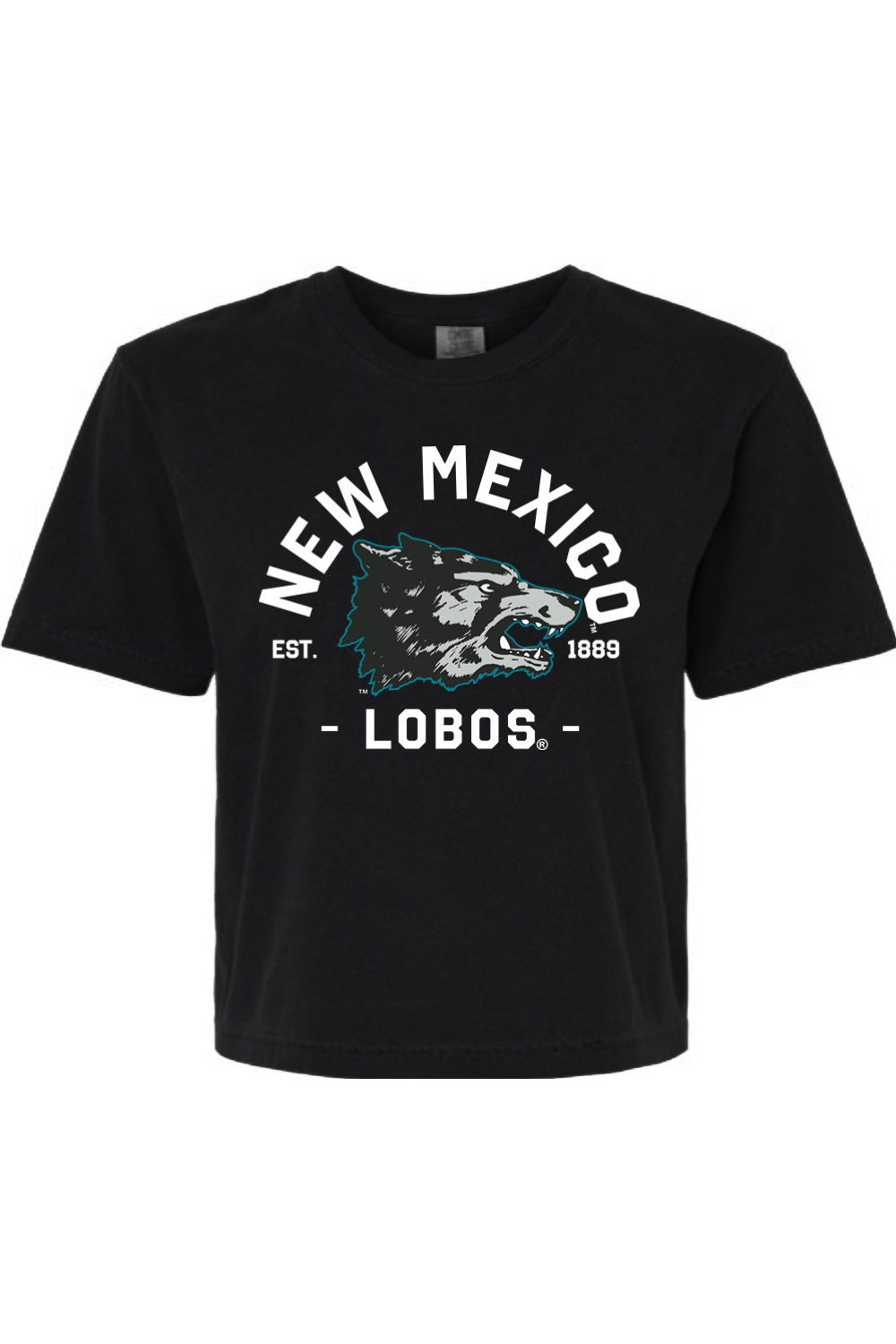 Lobos Vintage 1889 - Comfort Colors Women's Heavyweight Boxy T-Shirt