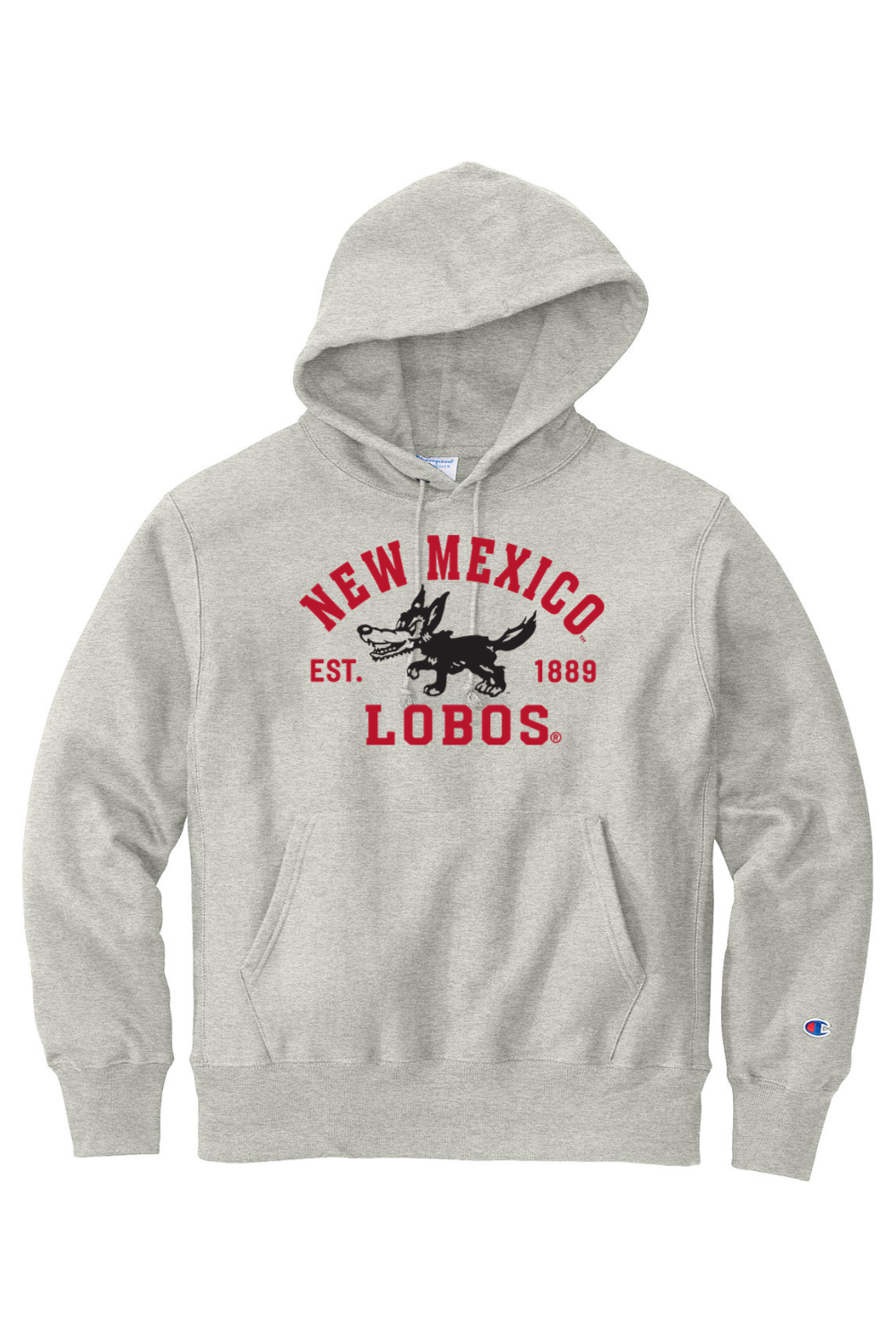 Champion Reverse Weave Hooded Sweatshirt