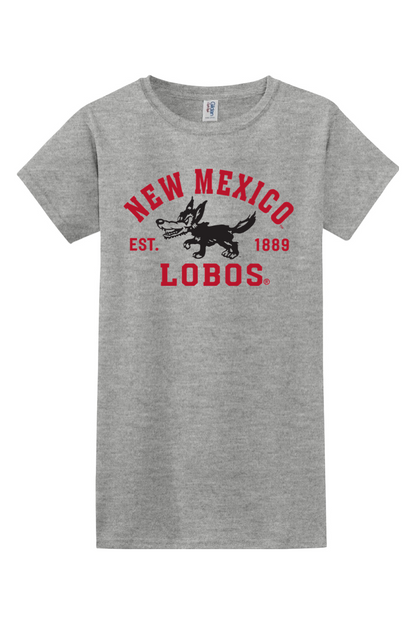 Gildan Softstyle Ladies' T-Shirt