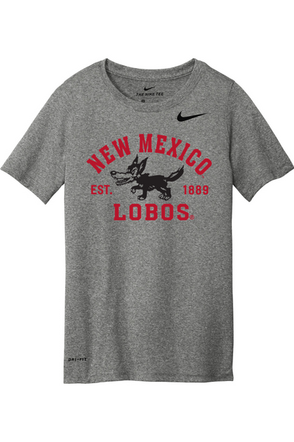 Nike Youth Team rLegend Tee