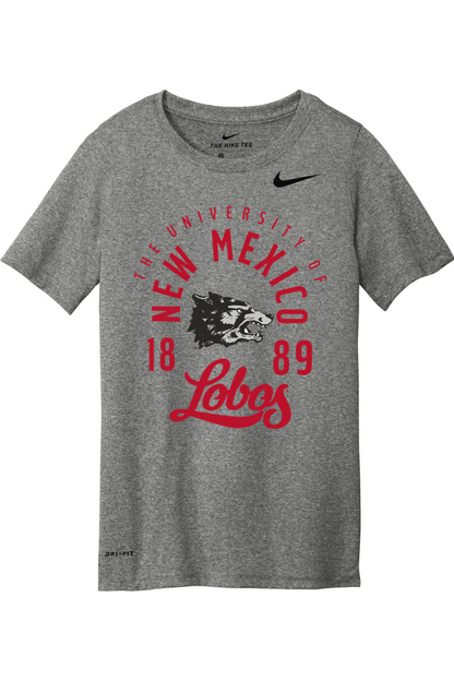Nike Youth Team rLegend Tee