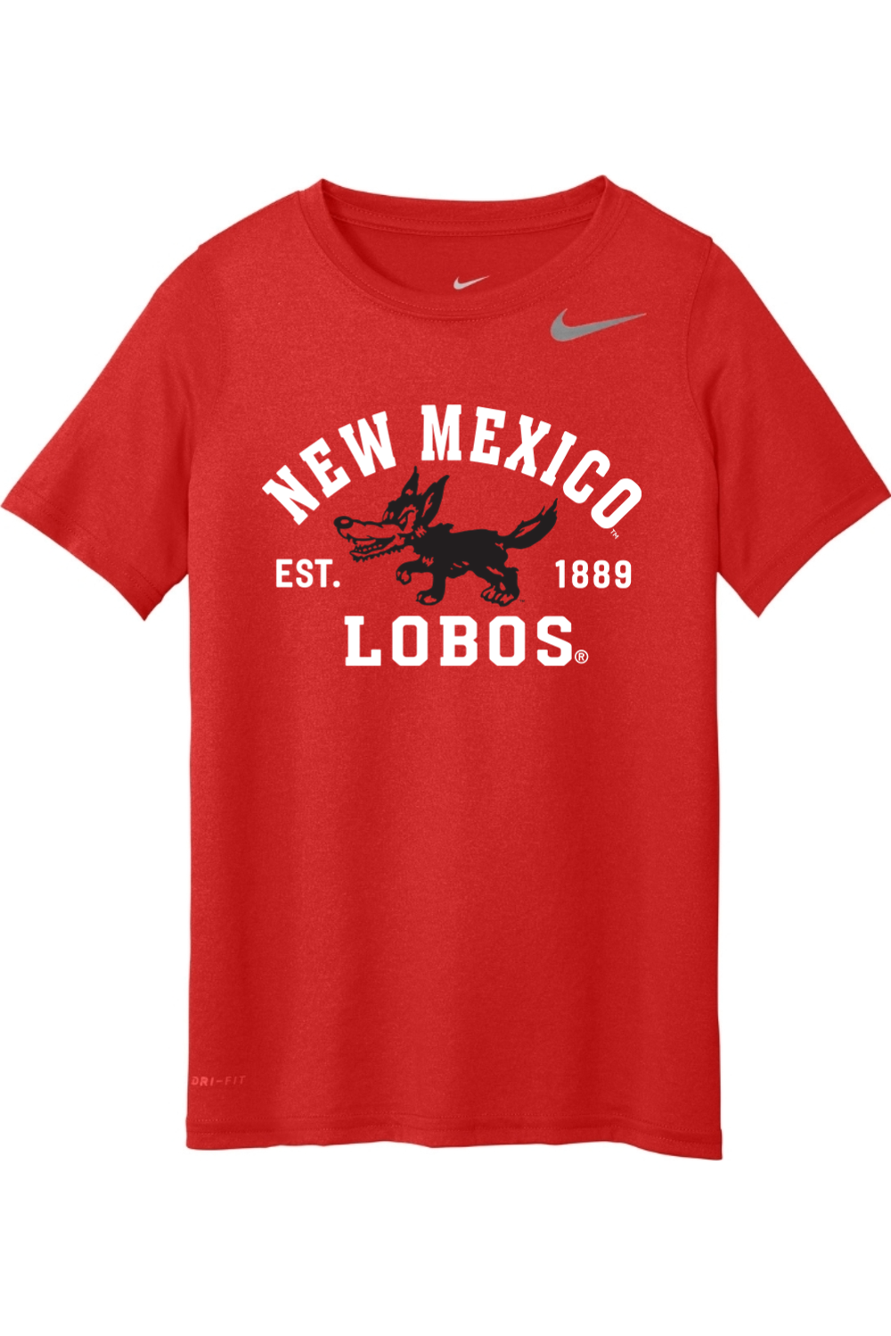 Nike Youth Team rLegend Tee
