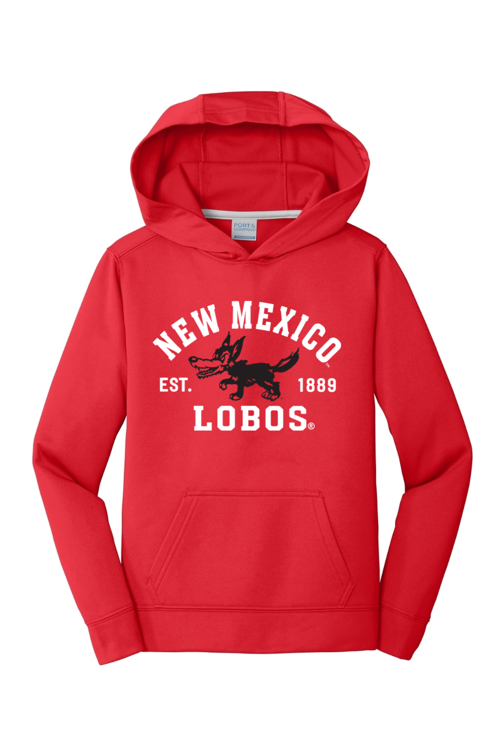 Port & Company Youth Performance Fleece Pullover Hooded Sweatshirt