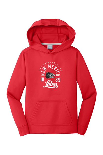 Port & Company Youth Performance Fleece Pullover Hooded Sweatshirt