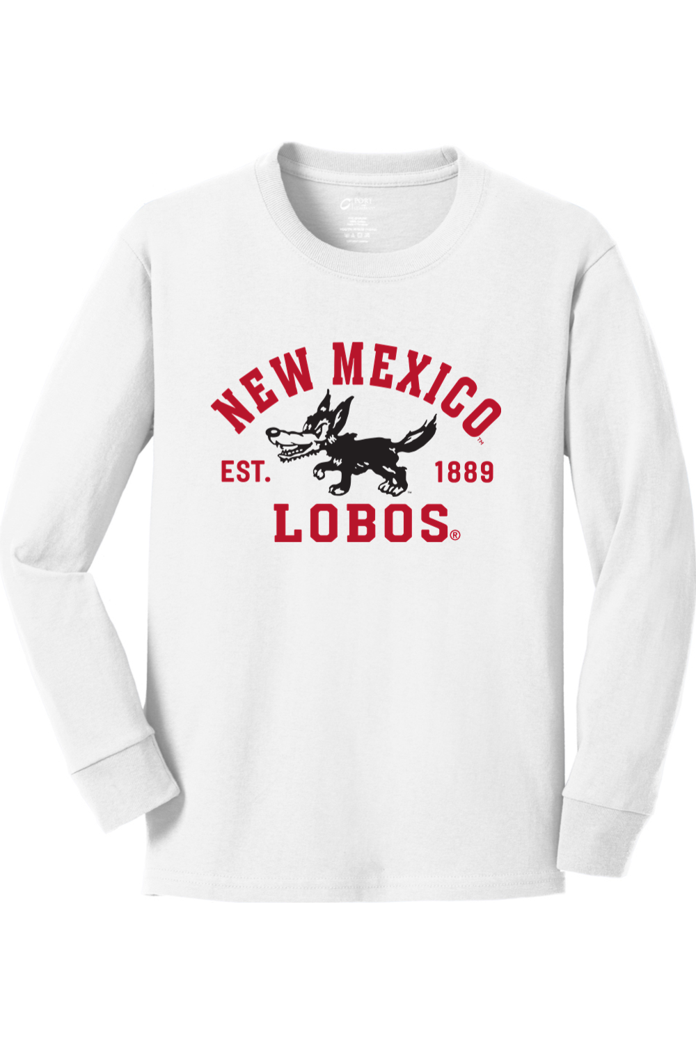 Youth Port & Company Long Sleeve Core Cotton Tee
