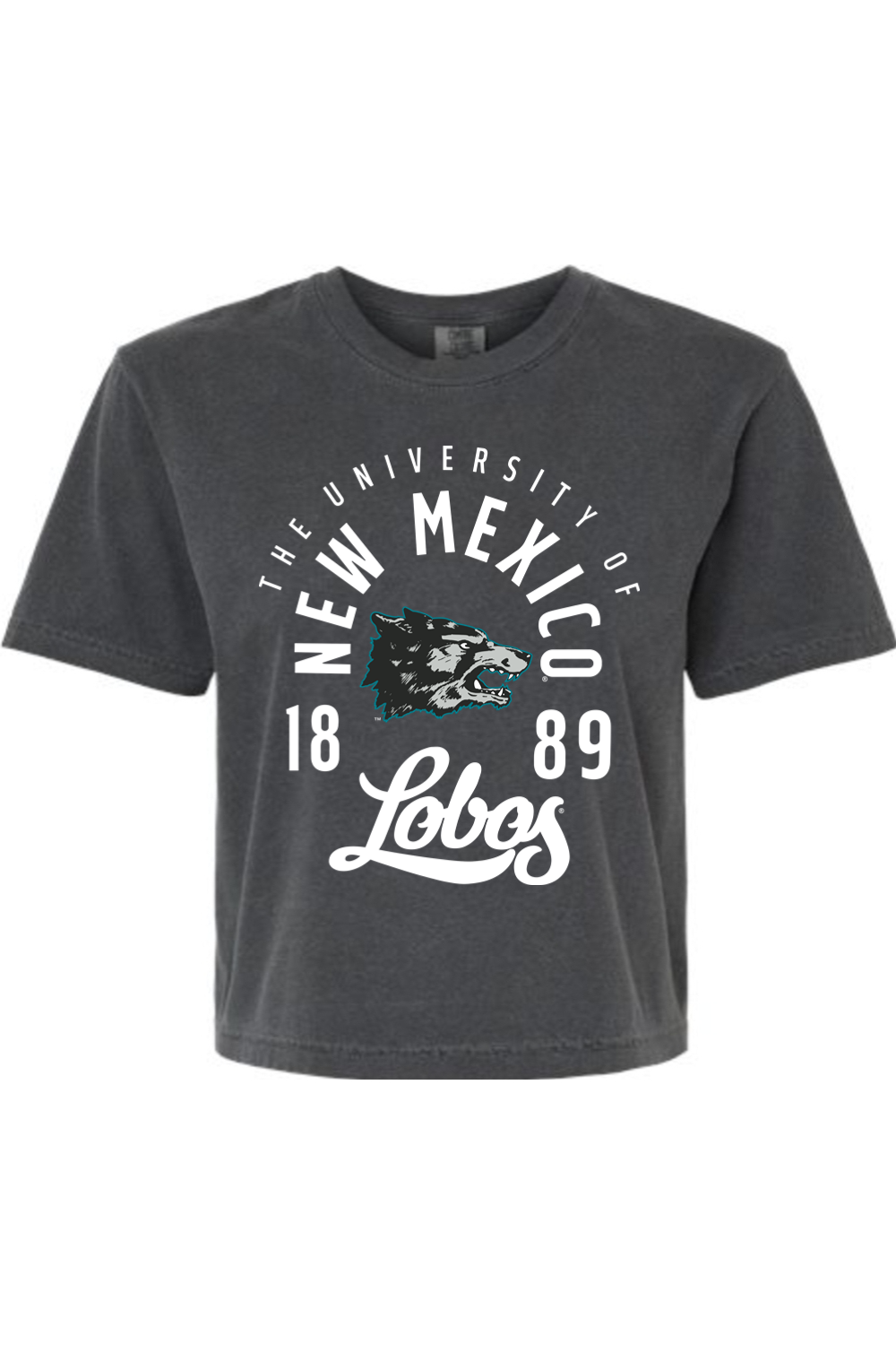 Comfort Colors Women's Heavyweight Boxy T-Shirt