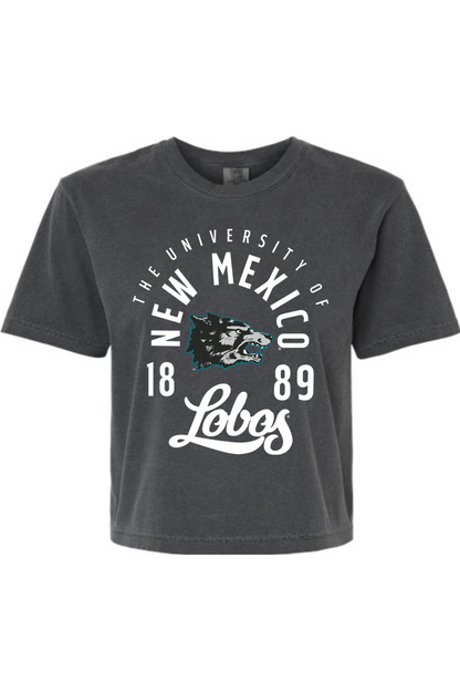 Comfort Colors Women's Heavyweight Boxy T-Shirt