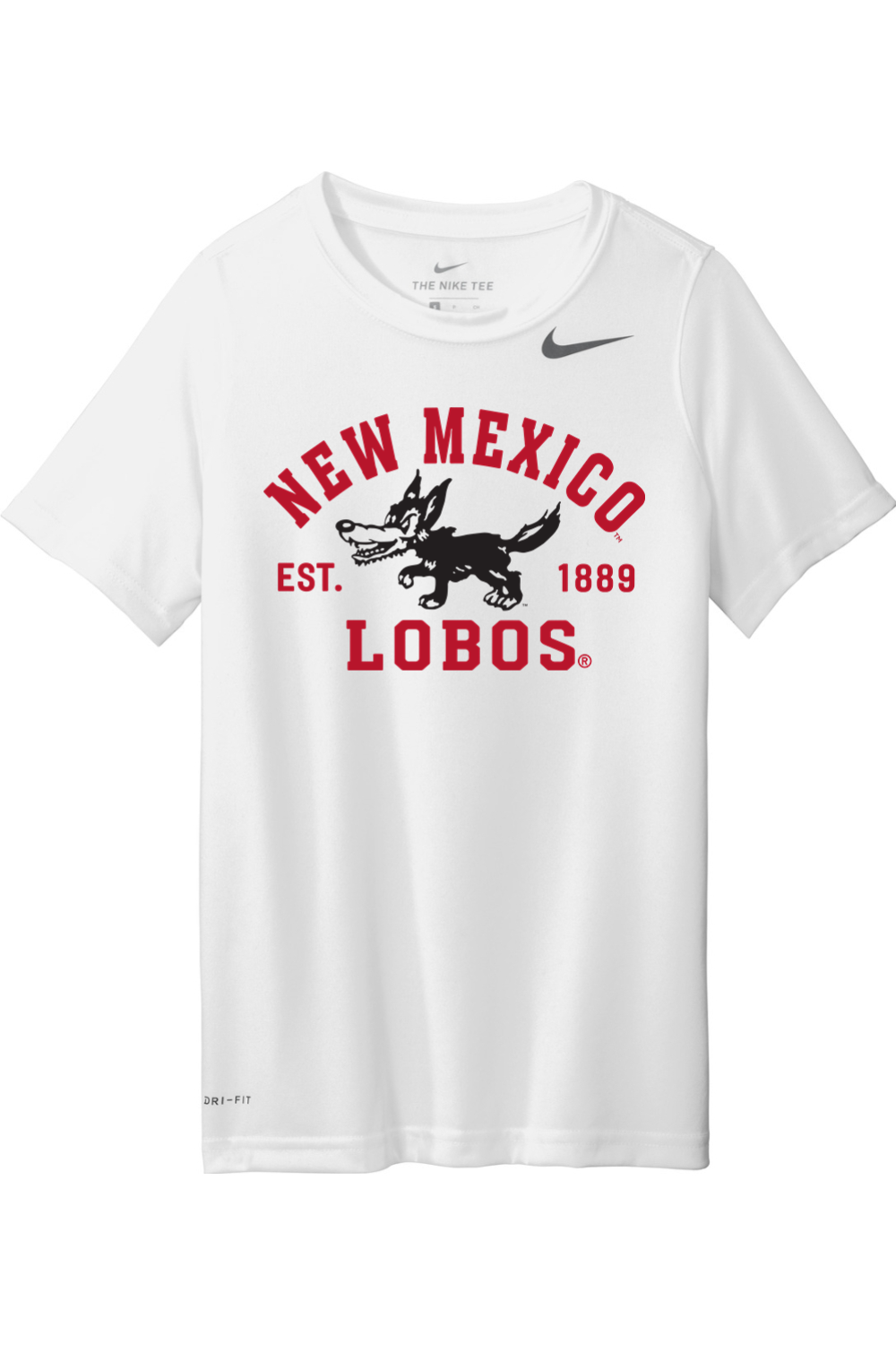 Nike Youth Team rLegend Tee