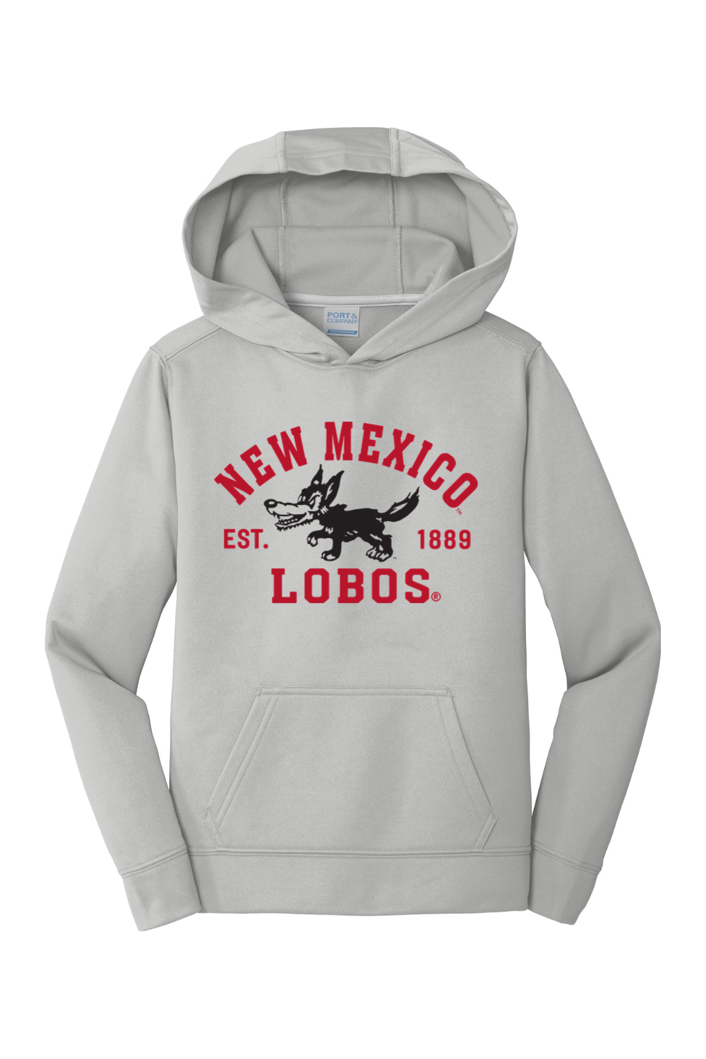Port & Company Youth Performance Fleece Pullover Hooded Sweatshirt
