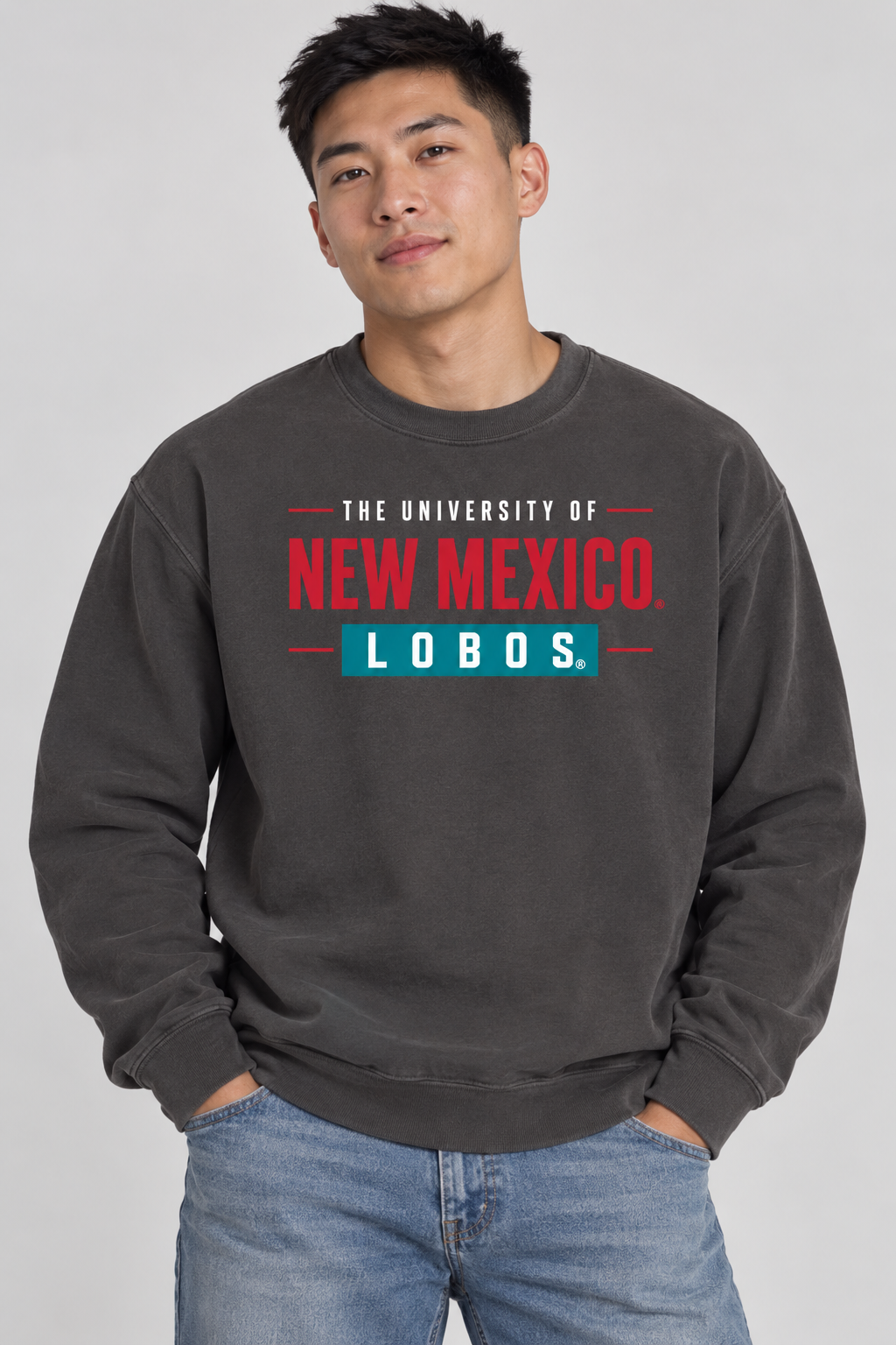 New Mexico Bold - Comfort Colors Ring Spun Crewneck Sweatshirt
