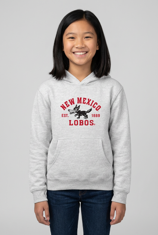 Lobos Collegiate Classic - Lane Seven Premium Youth Pullover Hoodie