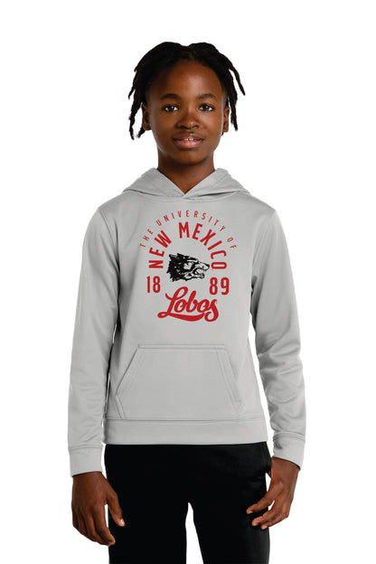 Port & Company Youth Performance Fleece Pullover Hooded Sweatshirt