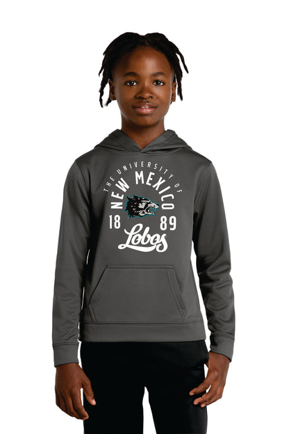 Port & Company Youth Performance Fleece Pullover Hooded Sweatshirt