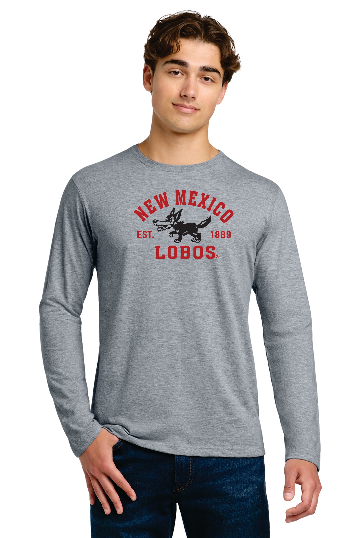 Gildan Softstyle Long Sleeve T-Shirt