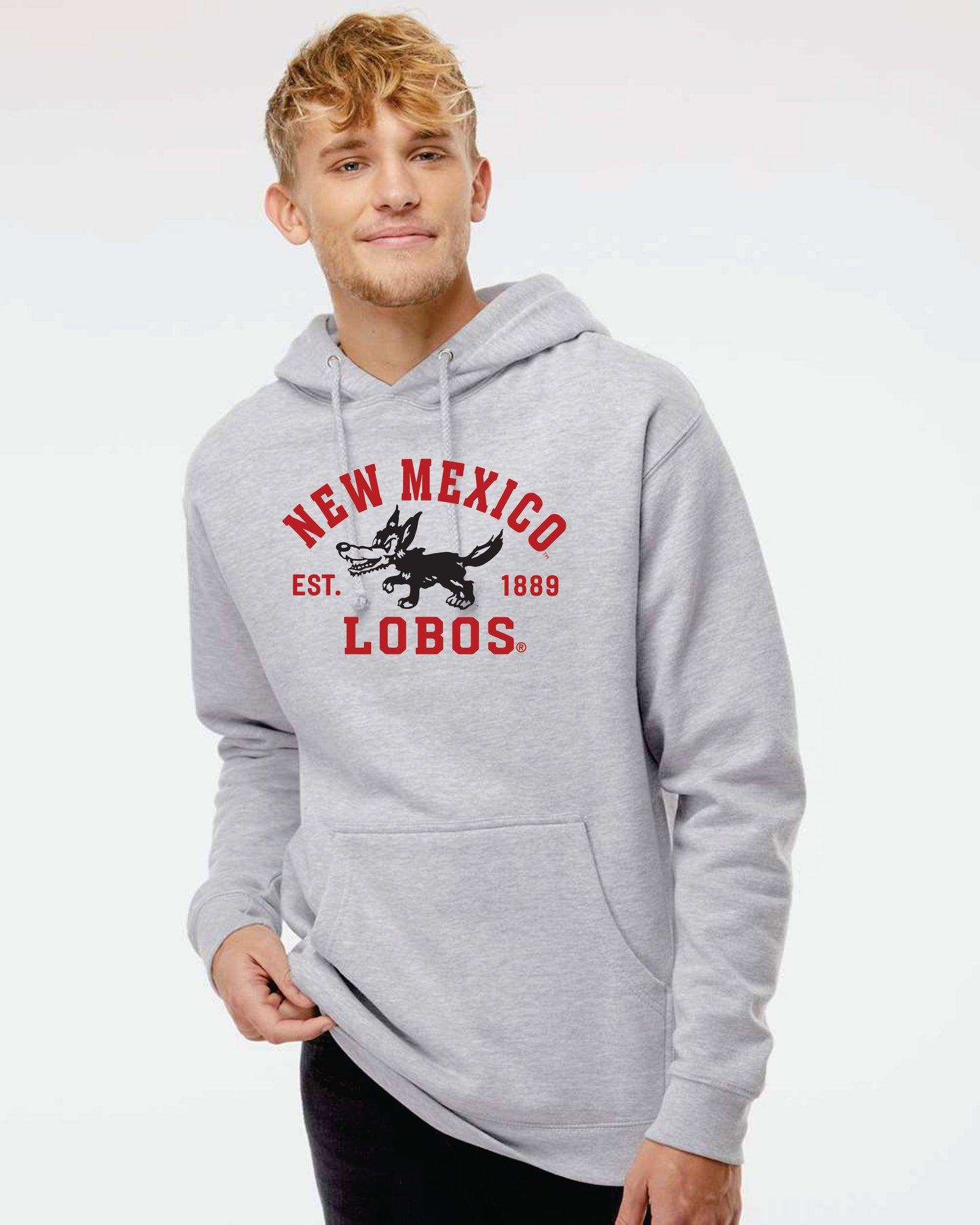 Independent Trading Co. Heavyweight Hooded Sweatshirt