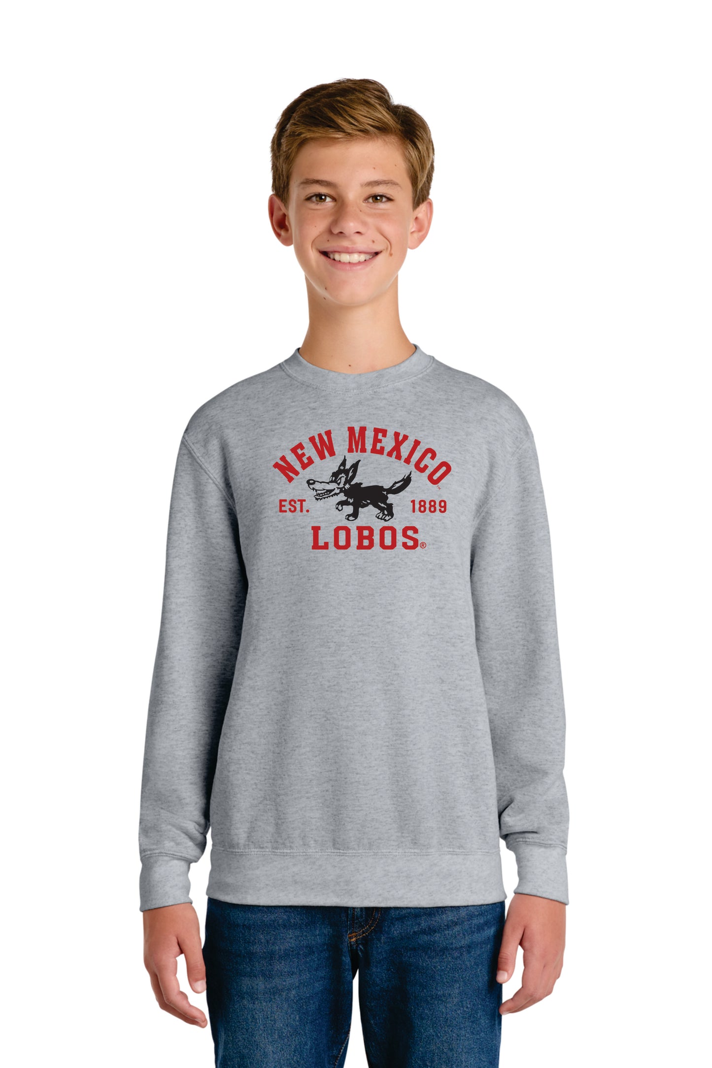 Port & Company  Youth Core Fleece Crewneck Sweatshirt (PC78Y)