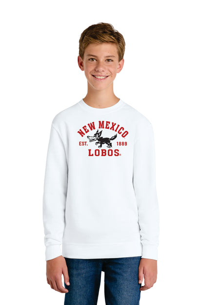 Port & Company  Youth Core Fleece Crewneck Sweatshirt (PC78Y)