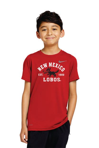 Nike Youth Team rLegend Tee