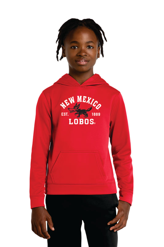 Port & Company Youth Performance Fleece Pullover Hooded Sweatshirt